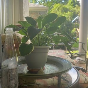 Meet your Posher, Martha